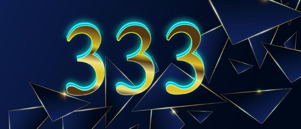 Число 333
