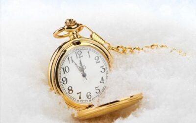 19 февраля 2025 года. Девиз дня: «Твоё время ограничено, не трать его, проживая чужую жизнь!» 0 (0)